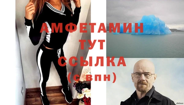 гашик Белокуриха