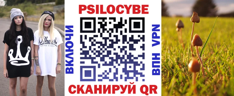 Галлюциногенные грибы Psilocybe  Очёр 